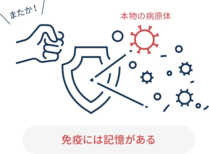 免疫には記憶があることを示すイラスト。ワクチンで練習した免疫が本物の病原体と効率的に闘う様子。
