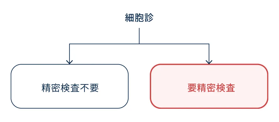 細胞診の結果が精密検査不要と要精密検査に分かれることを示した図