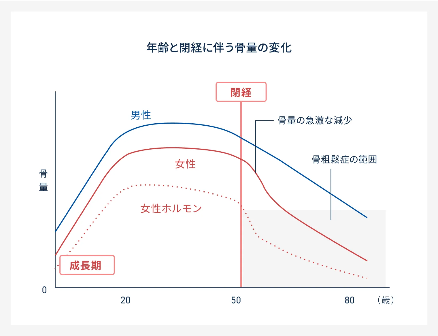 年齢と閉経に伴う骨量の変化グラフ。閉経後に女性の骨量が急激に減少し骨粗鬆症の範囲に入ることを示す。