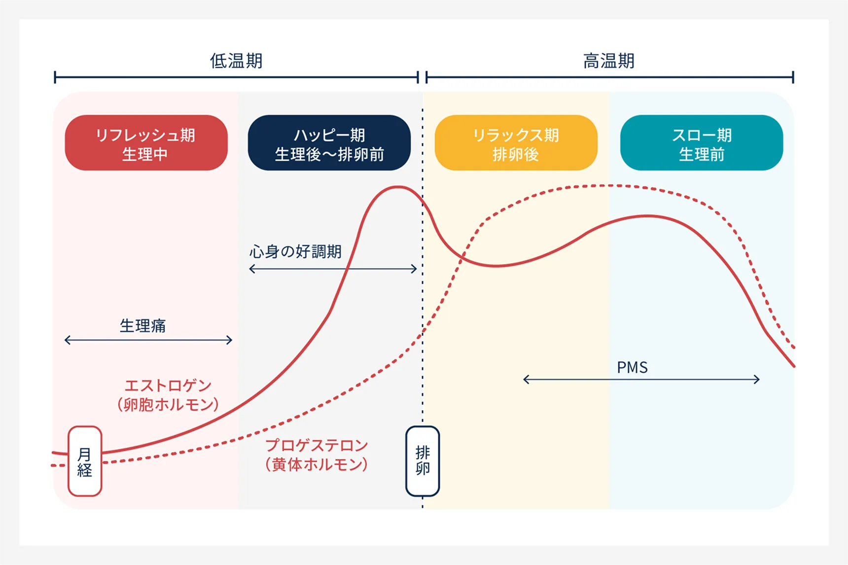 月経周期と女性ホルモンの変化を示した図。低温期（リフレッシュ期・ハッピー期）と高温期（リラックス期・スロー期）の4段階と、エストロゲン・プロゲステロンの変化、生理痛・PMSの不調時期を図示。