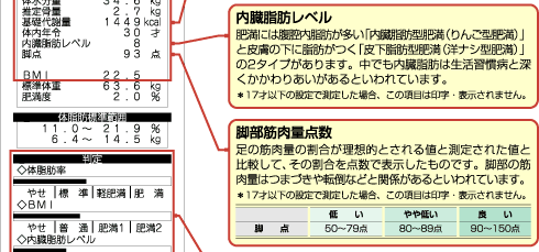 測定結果の解説